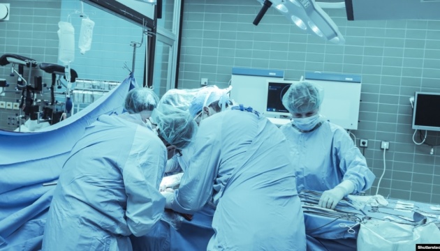 Как благодаря норвежскому грибу началась эра современной трансплантологии