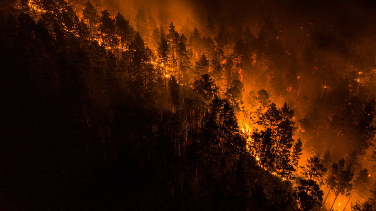 "Эпидемия пожаров" в Сибири вышла из-под контроля - масштабы стихии разрастаются
