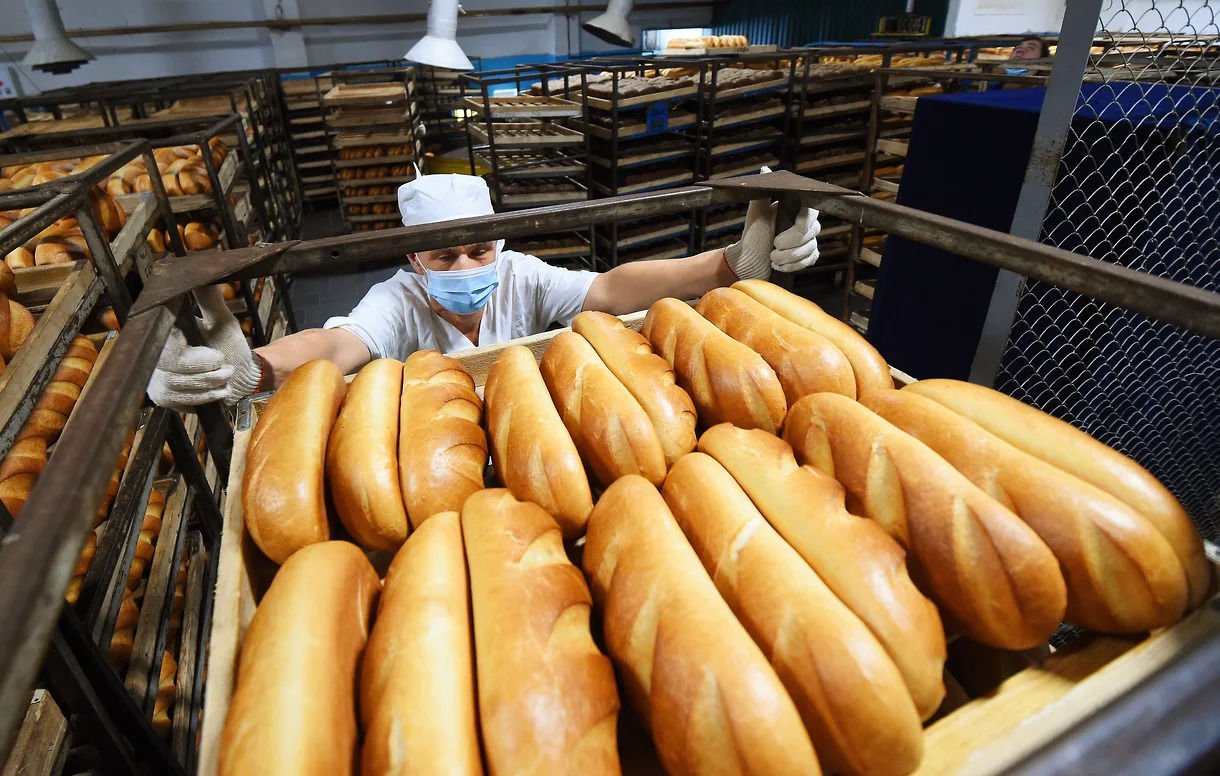Россия в ближайшие месяцы рискует остаться без хлеба 
