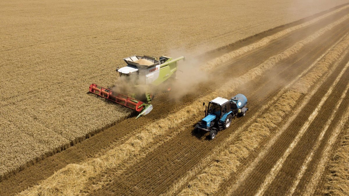 Путин после мародерства в Украине спрогнозировал рекордный урожай зерна в России