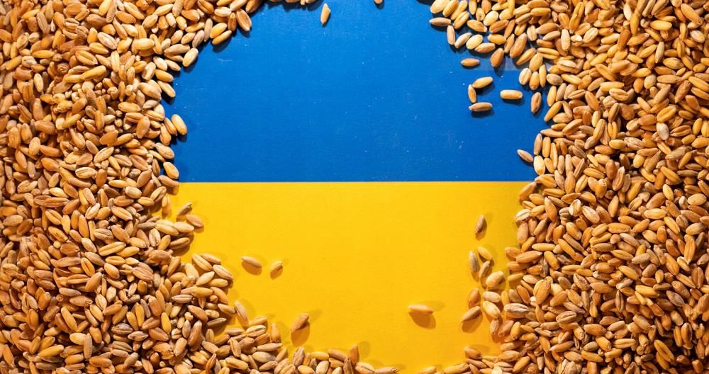"Есть маленькая победа", - СМИ узнали о проблеме России с вывозом украденного у Украины зерна