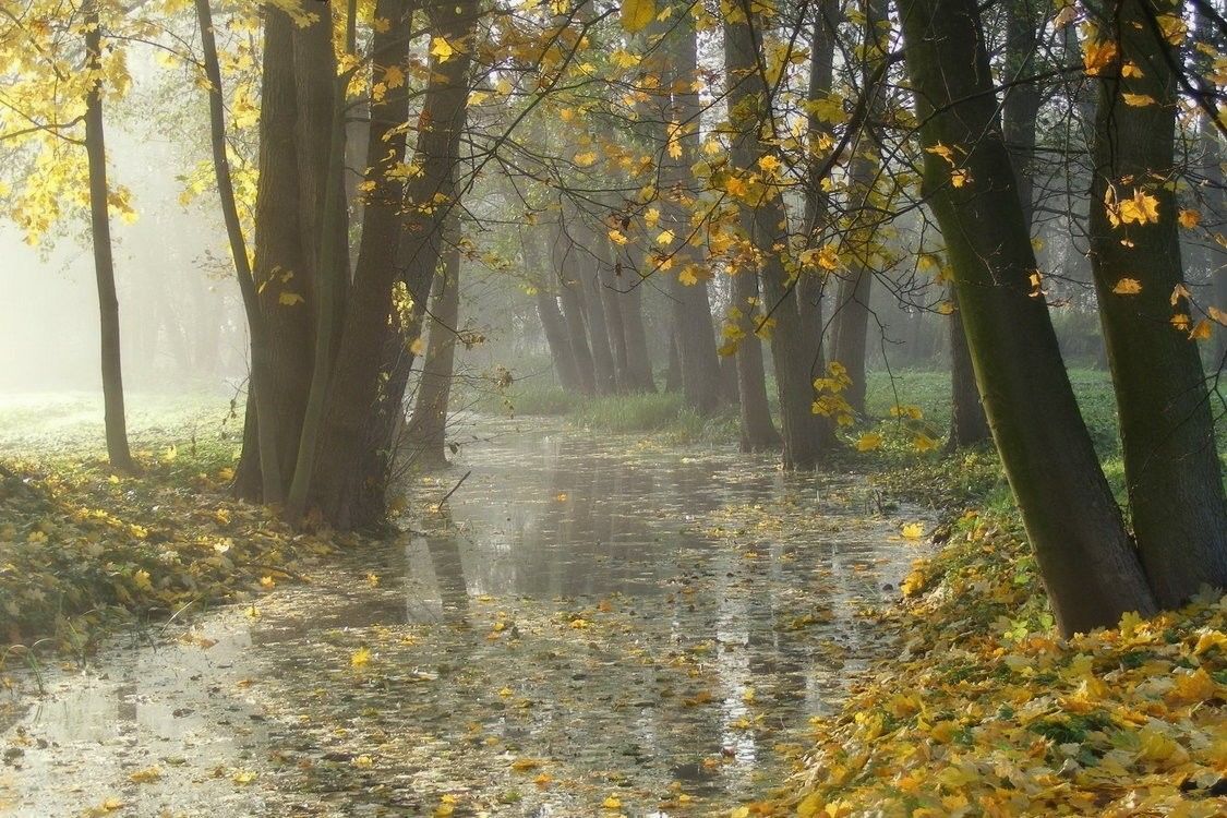 ​Погода не порадует украинцев в выходные – готовимся к дождям и холодному ветру