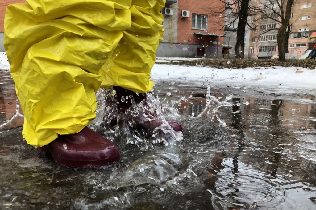 ​"На два градуса теплее", - синоптик прогнозирует Украине "аномальную" зиму 2022 - 2023