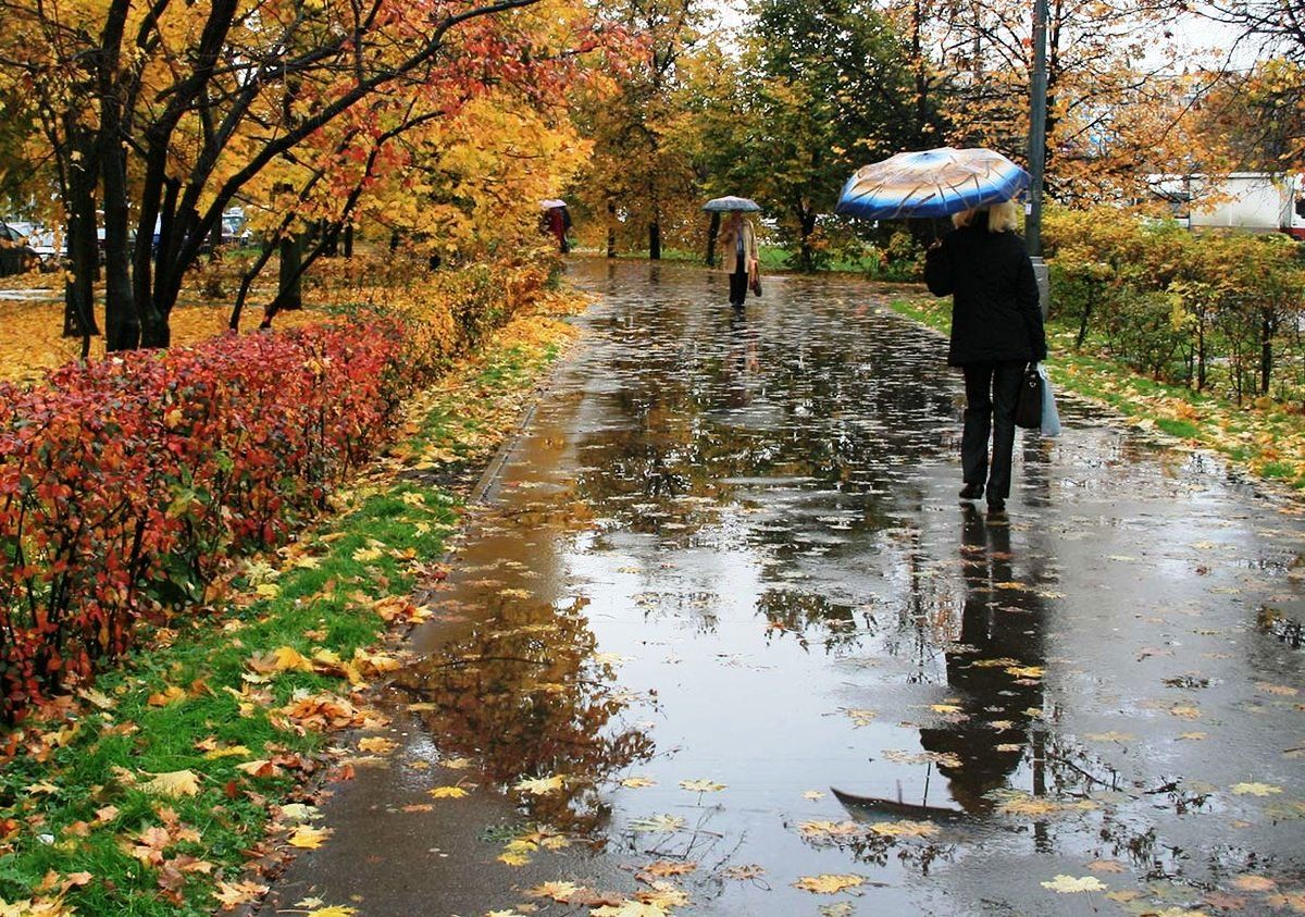 ​Теплая погода в Украине резко сменится похолоданием и дождями: синоптики назвали регионы и дату