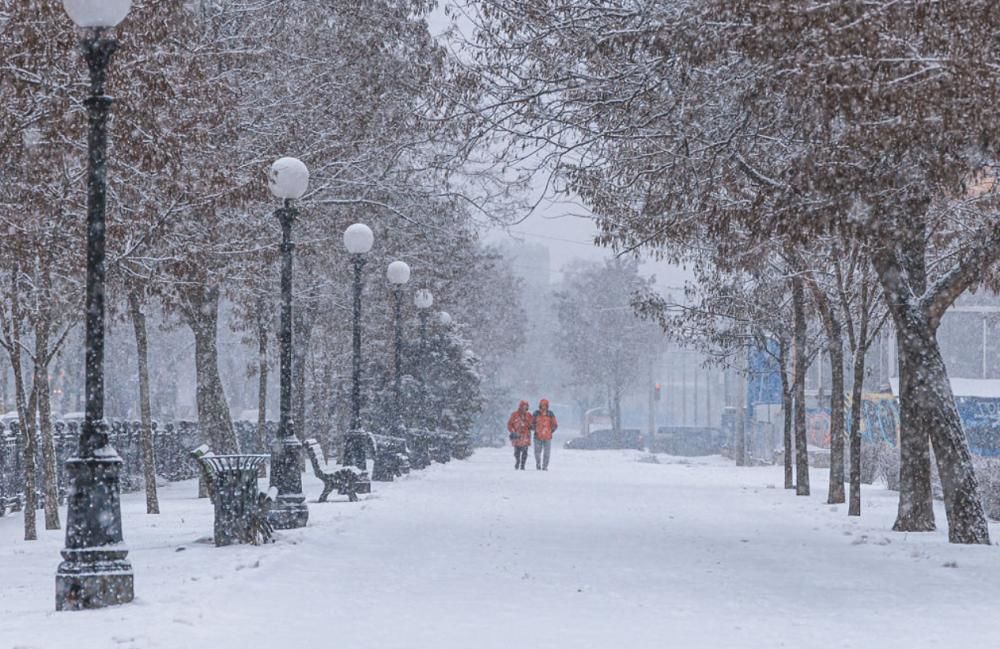 В Украину идет зима: синоптик рассказала про первый снег и морозы уже на этой неделе 