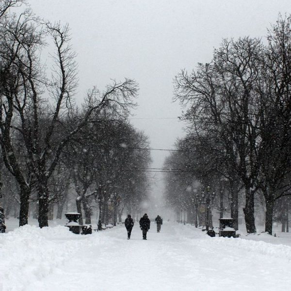 От –14 до аномального тепла: в Украине резко изменится погода – прогноз