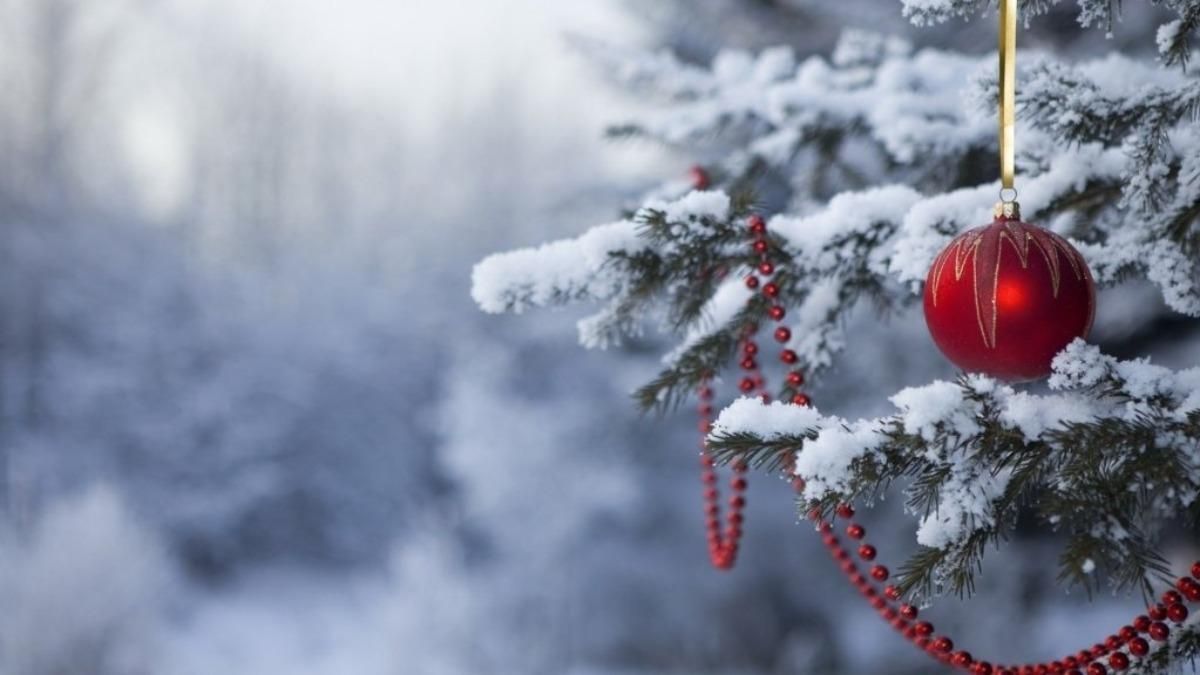 ​Ждать ли украинцам снег на Новый год: синоптики дали сразу два прогноза