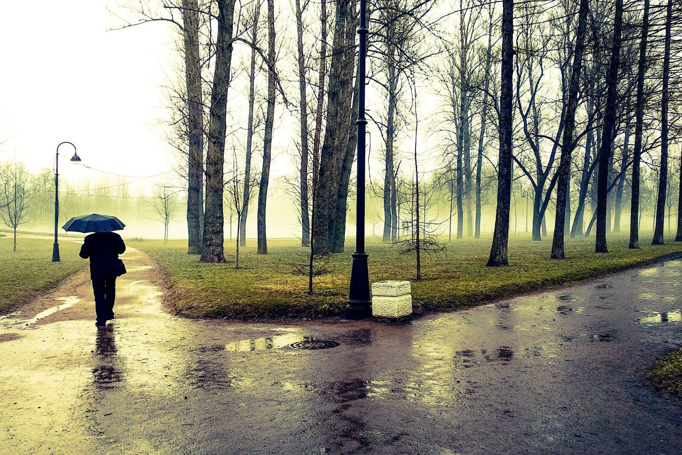 ​До +18, но с дождем: какая погода ждет Украину 10 апреля