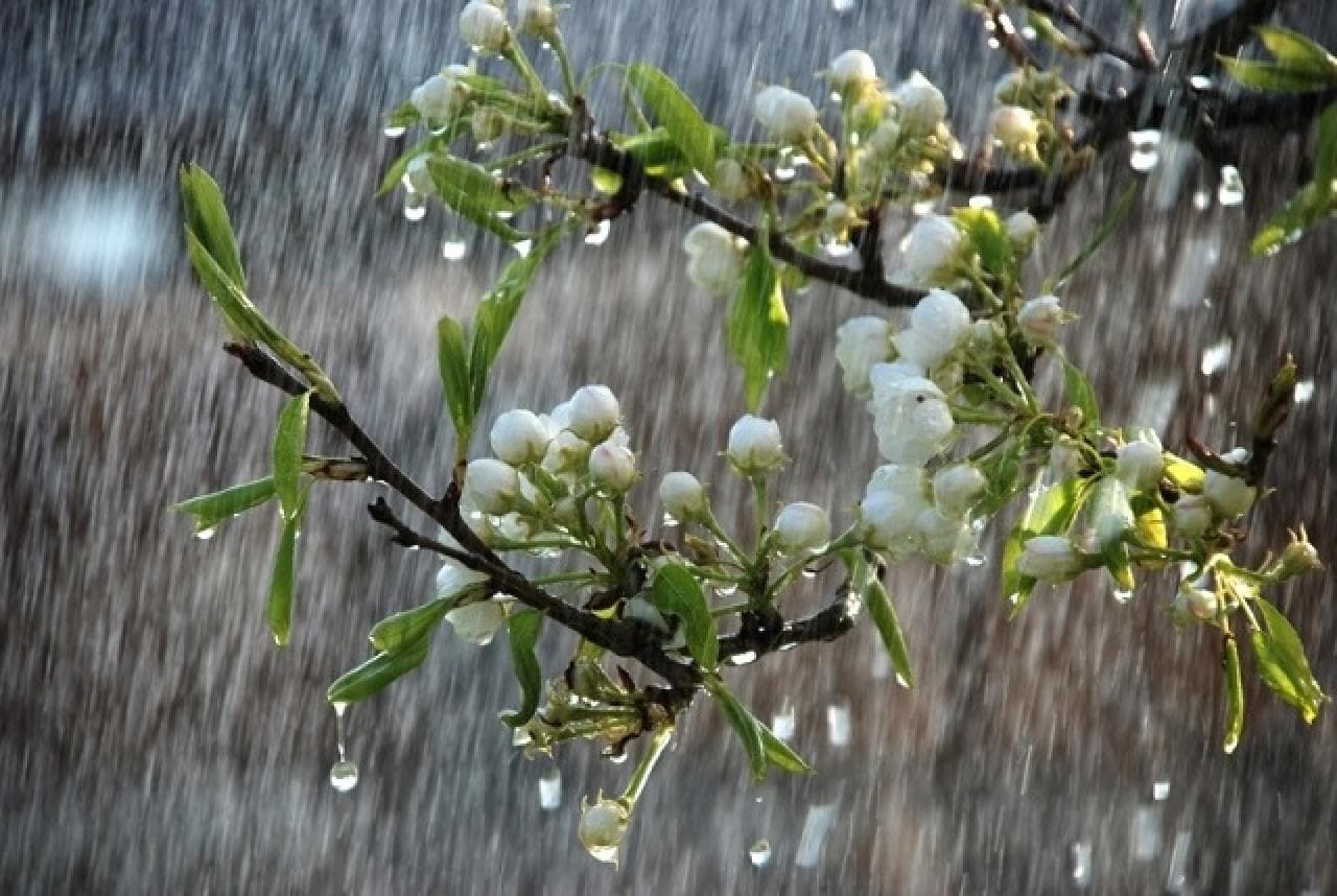 В Украину вернутся дожди, грозы и шквалистый ветер: какой будет погода на грядущей неделе