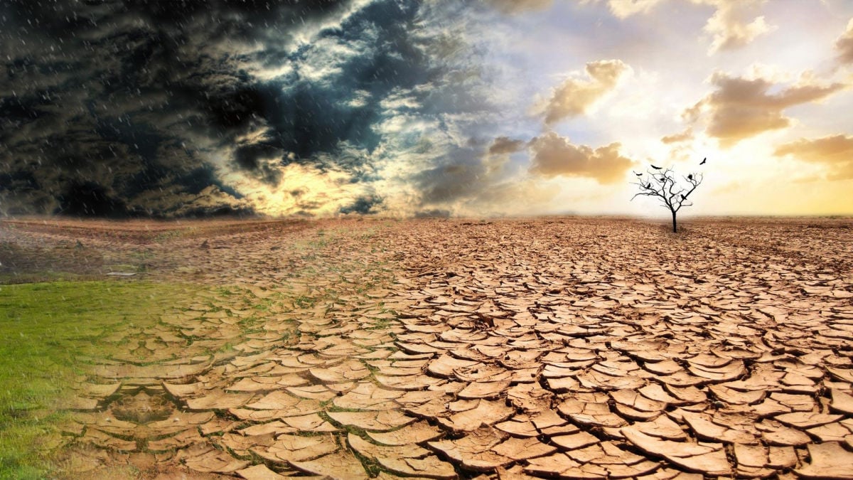 Совпадут два фактора: климатологи прогнозируют Земле рекордно жаркие 5 лет