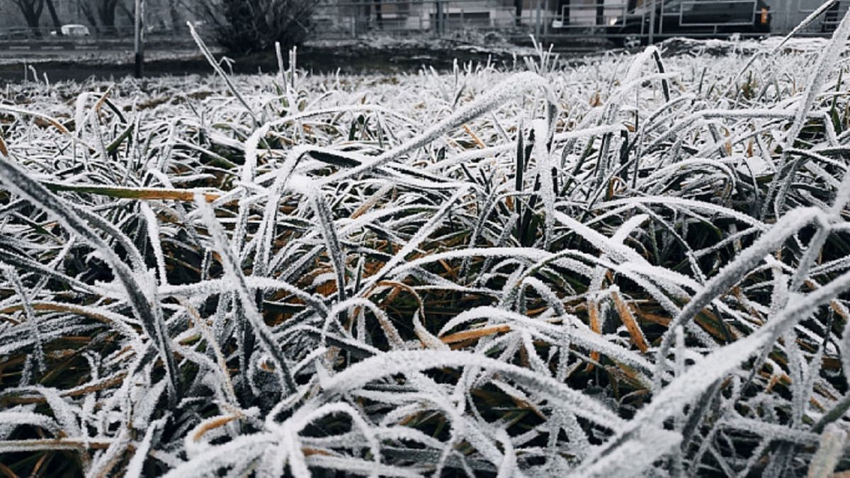 На горизонте снова заморозки: погода готовит Украине новый "сюрприз"