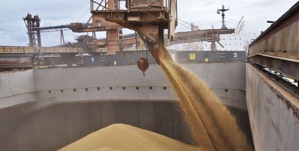 В Украине раскрыли план "исключения России" из зерновой сделки