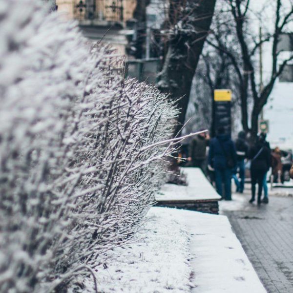 Какие сюрпризы принесет украинцам зима: метеорологи начали давать долгосрочные прогнозы