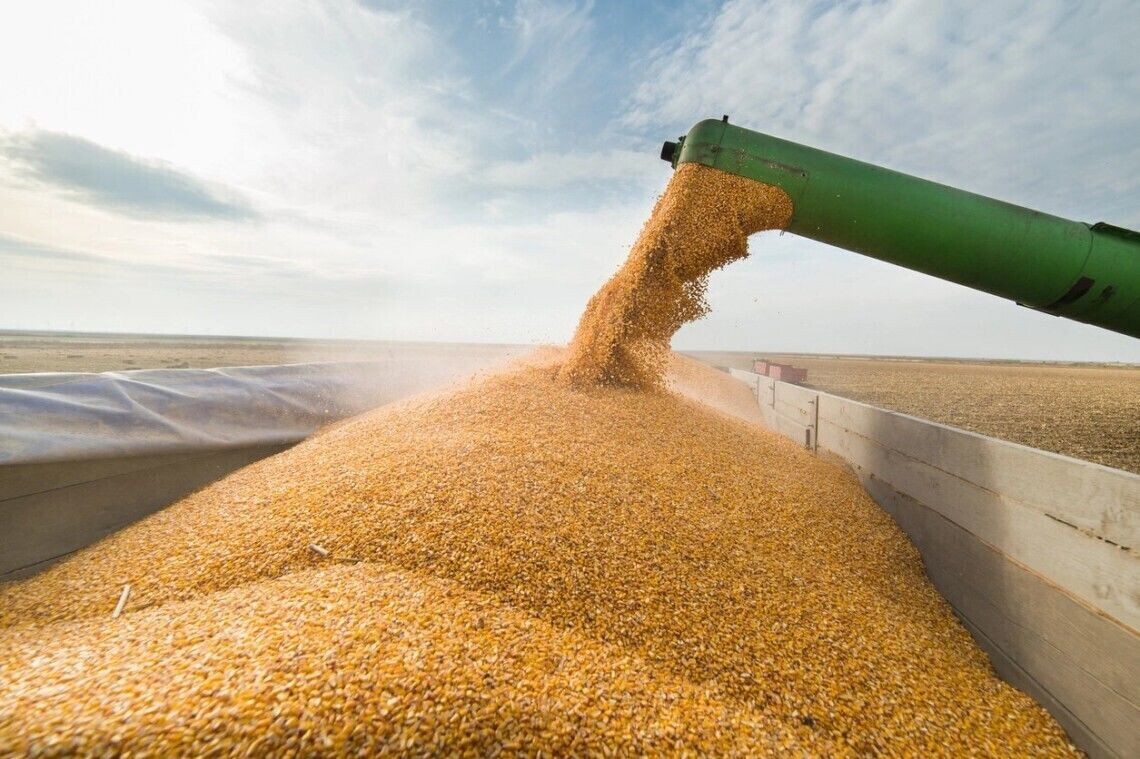 Польша продлила мораторий на поставки зерна из Украины – в Киеве отреагировали: "политический популизм"