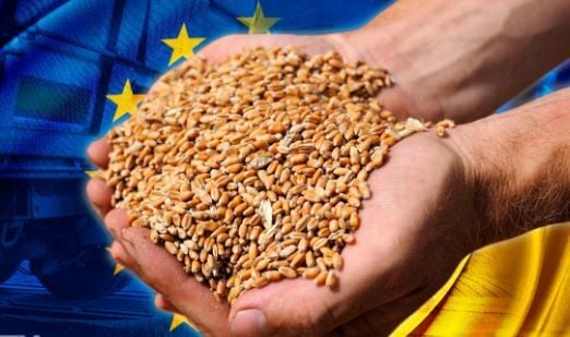 Продление запрета импорта зерна из Украины в пять стран ЕС: стали известны позиции всех членов Евросоюза
