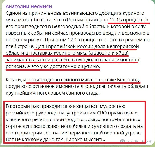 Дефицит курятины и яиц в России: война с Украиной ударила по РФ бумерангом - СМИ