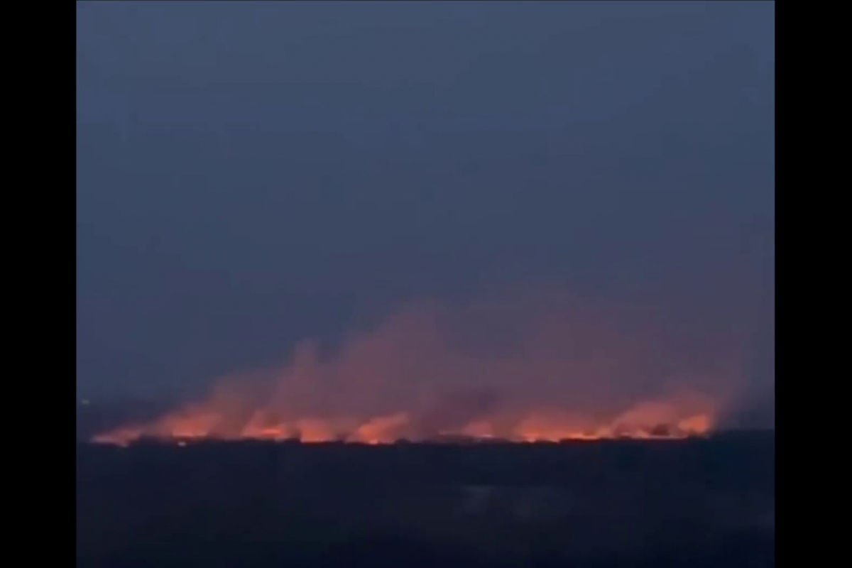 ​Огромный пожар охватил Киев: пылают десятки гектар в экопарке Осокорки