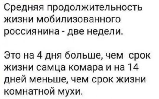 "Просто без комментариев", - Z-военкор Сапоньков потрясен новостью с фронта