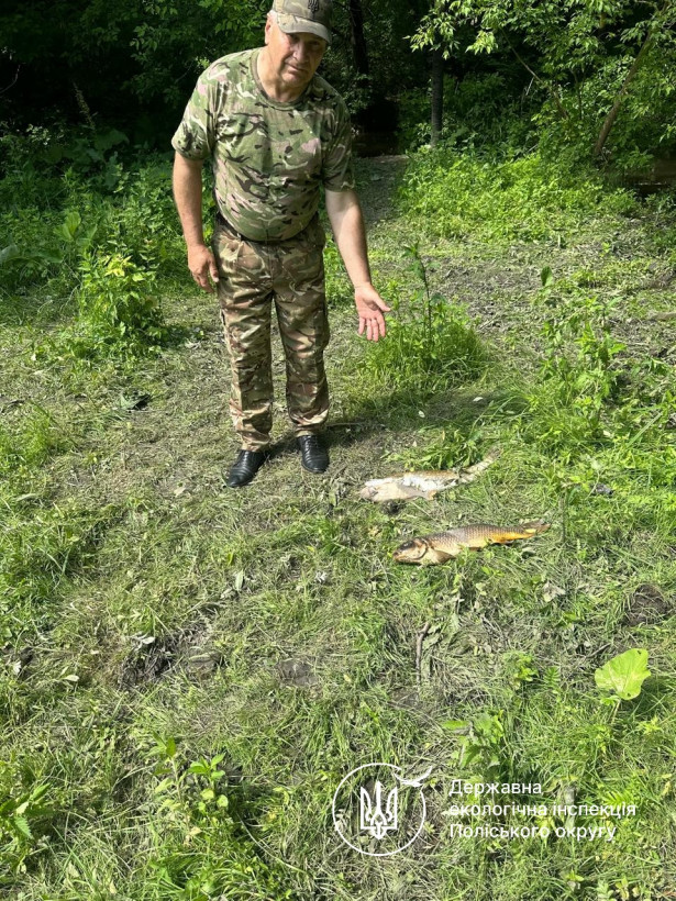 На Житомирщині у річці Случ загинули 28 тонн риби