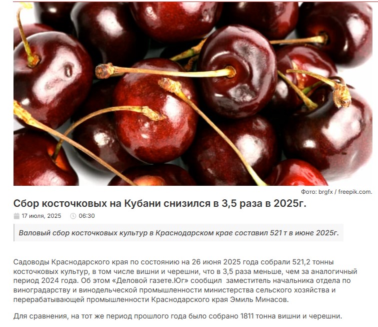 Не только зерно: на Кубани катастрофа с урожаем популярных ягод 